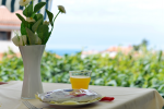 Apartman Laura - Istria Rentals