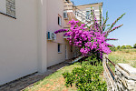 APARTMAN PUNTIŽELA - Istria Rentals